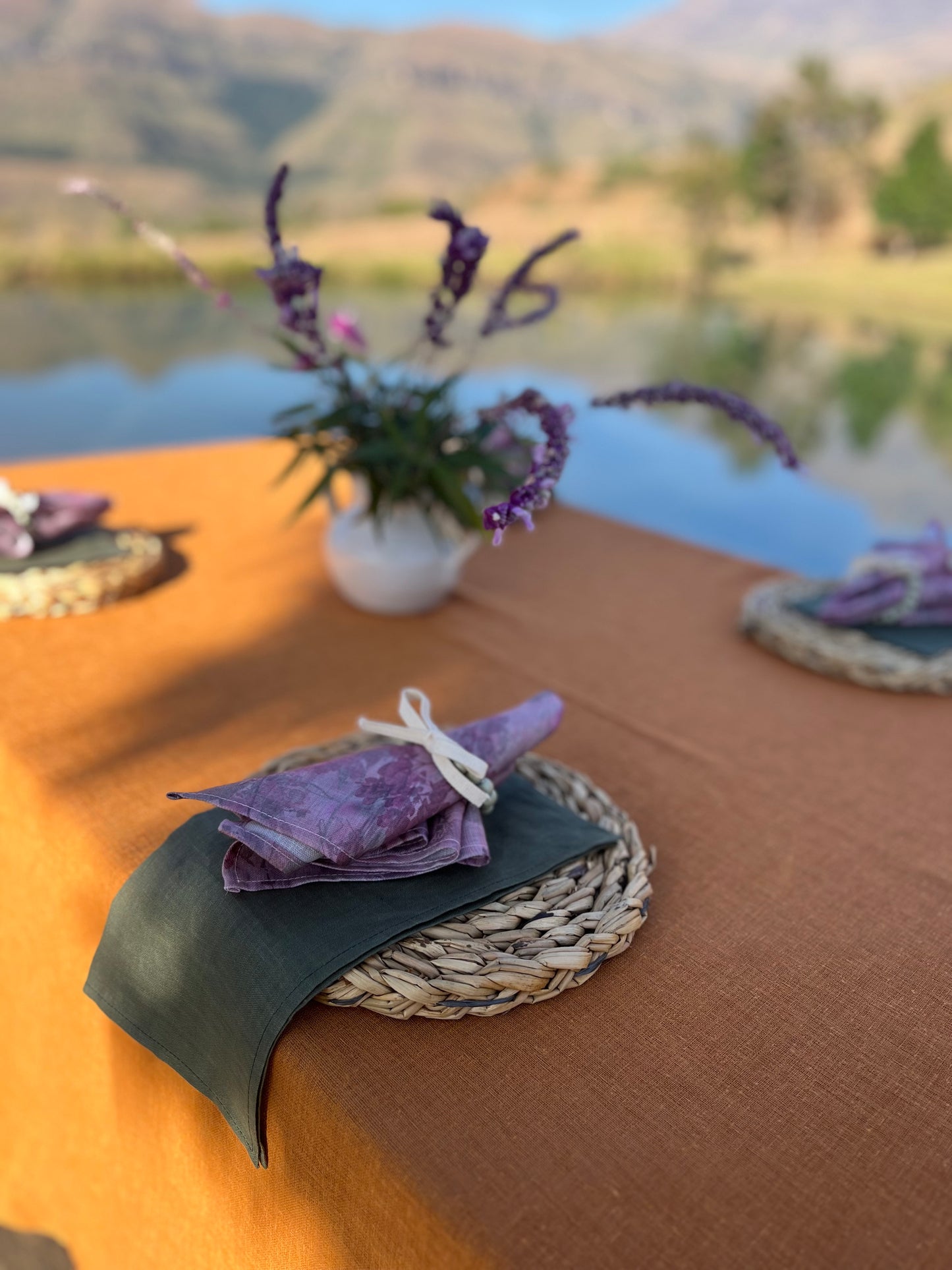 Printed sheer linen napkins(pair)