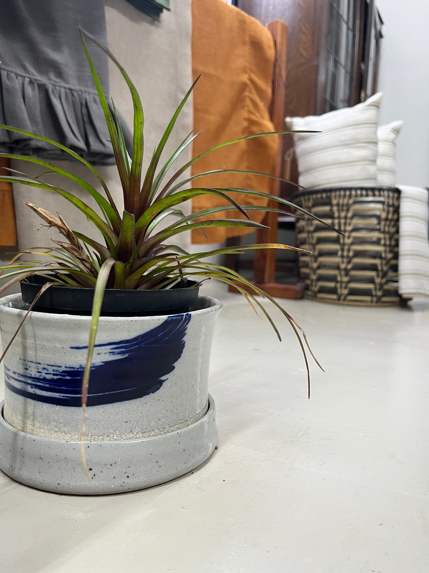 Painted planter