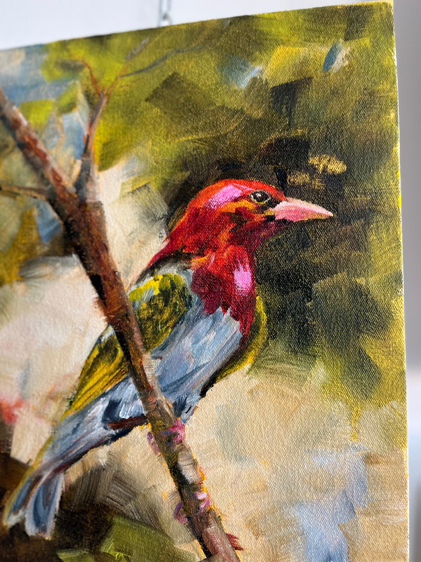 Bird