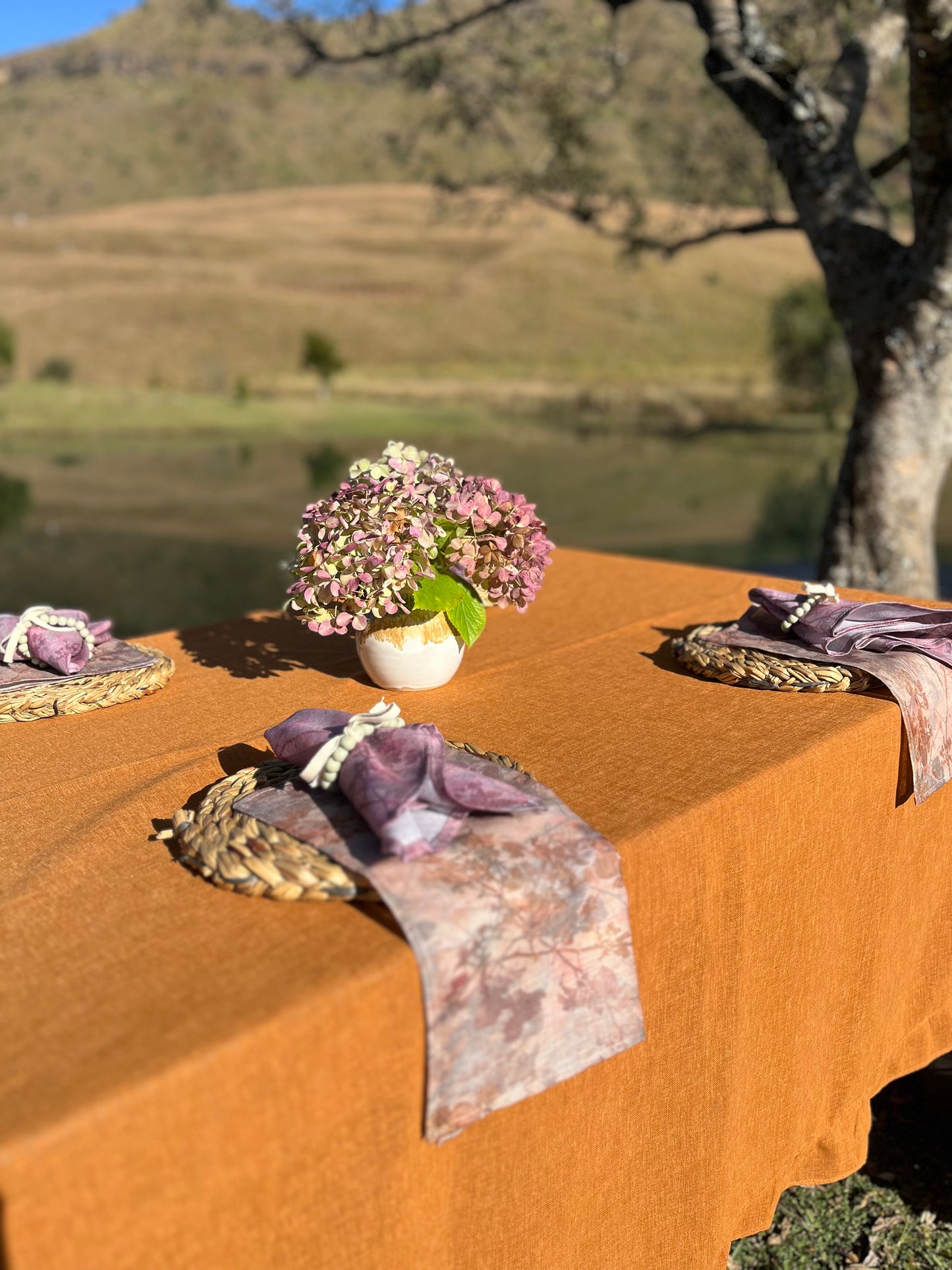 Printed sheer linen napkins(pair)