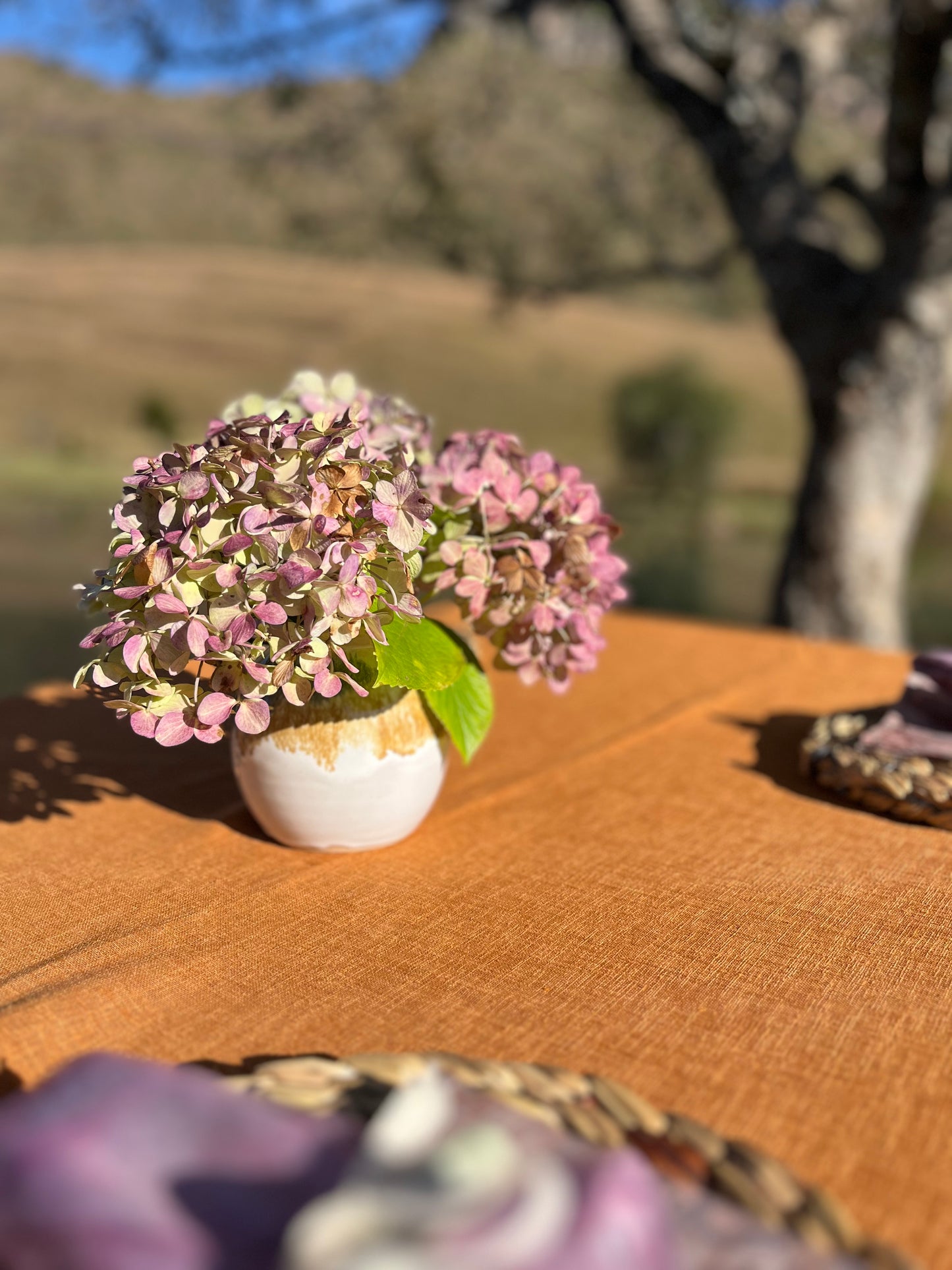 Copper tablecloth with frill