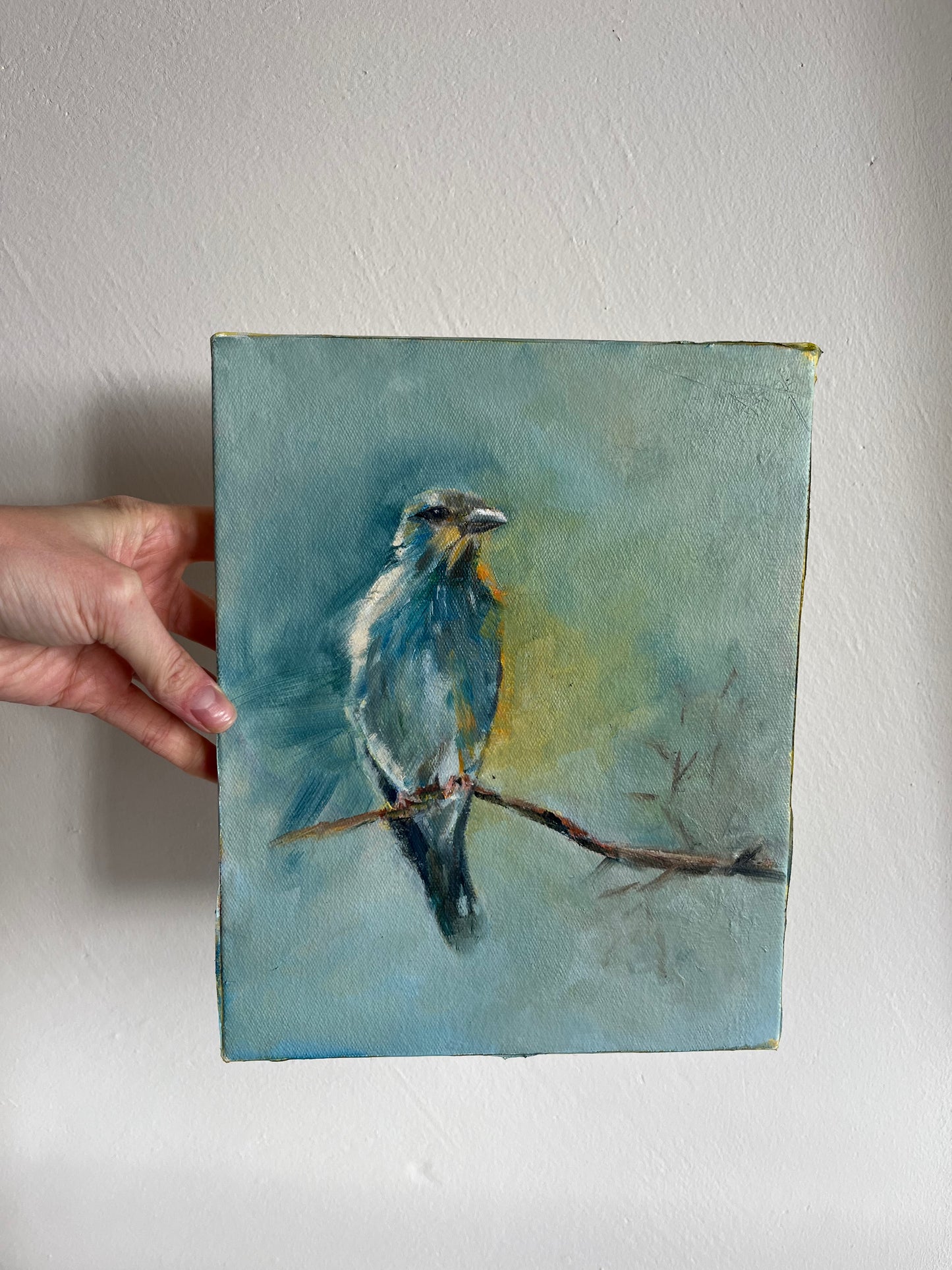 Blue bird