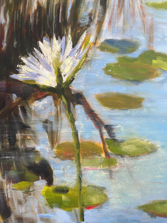 Kruger Lilies