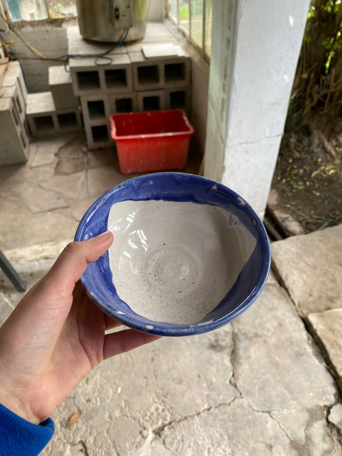 Holly bowl