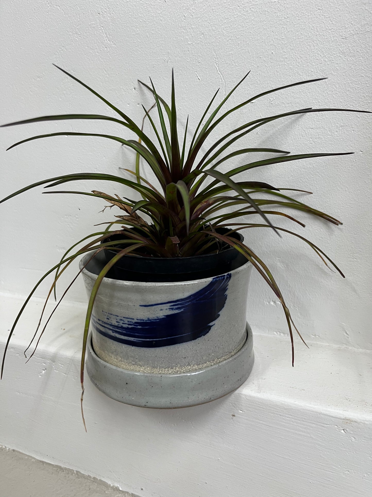 Painted planter
