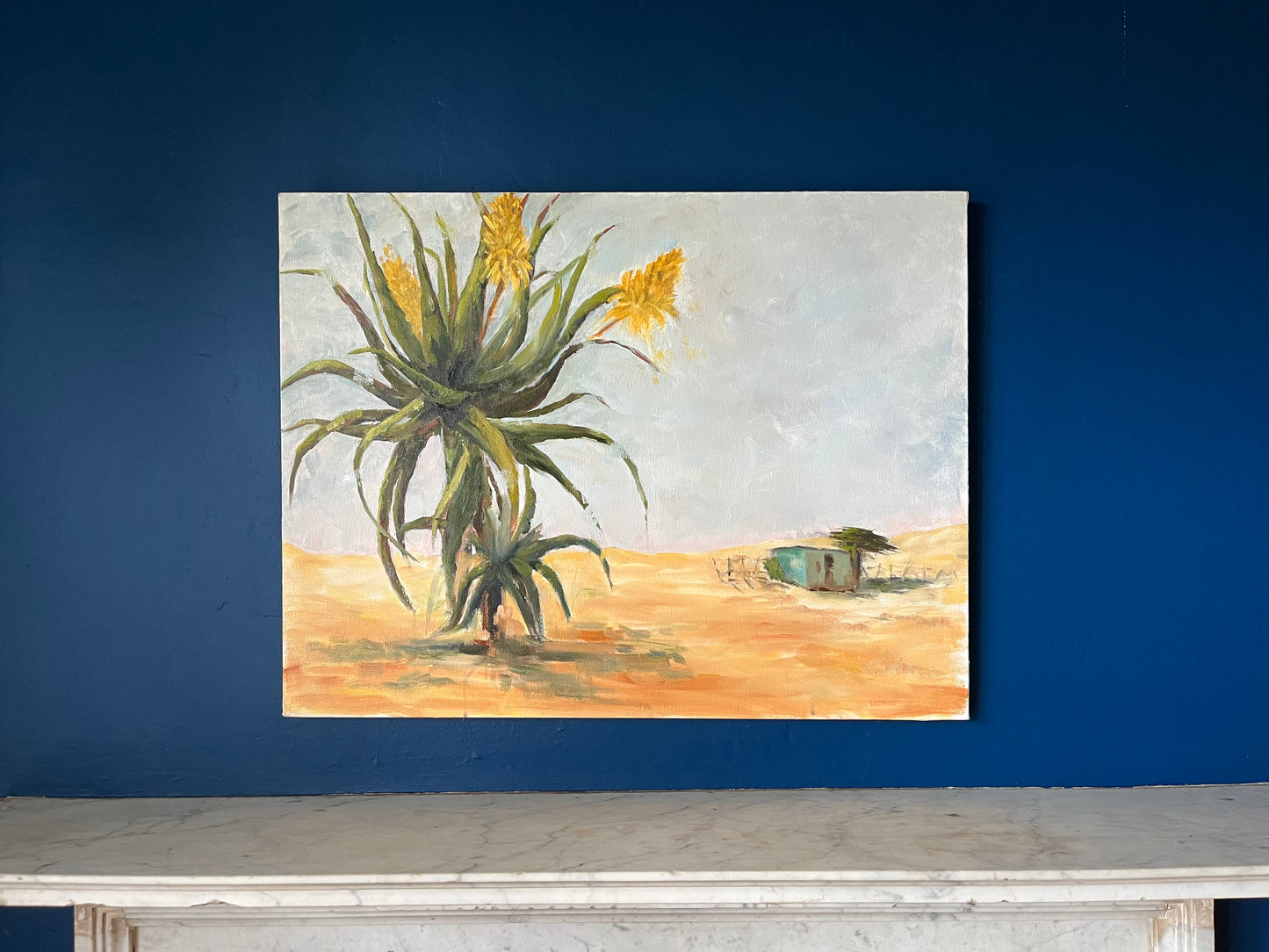Aloe landscapeCOZI interiors