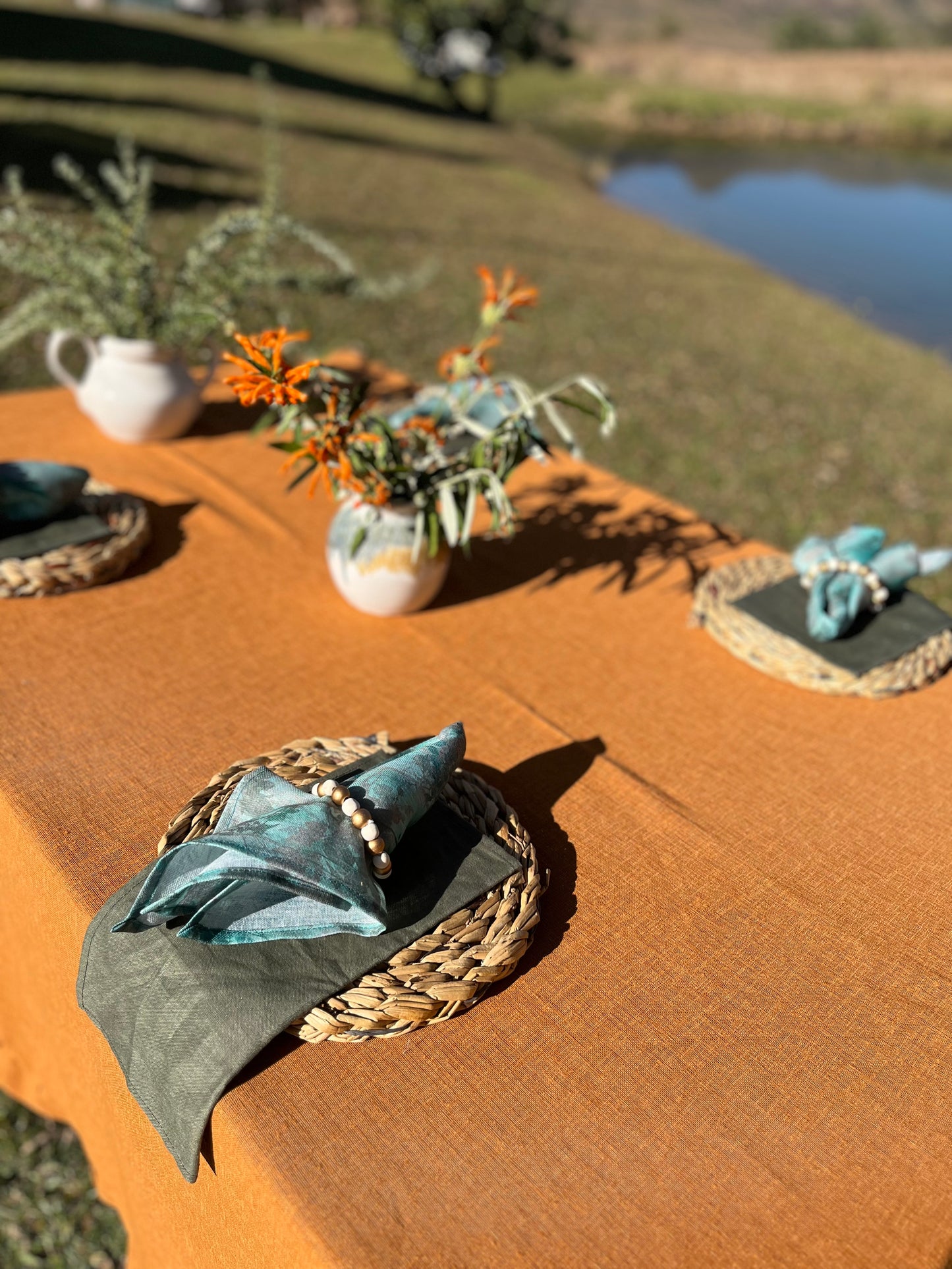 Printed sheer linen napkins(pair)