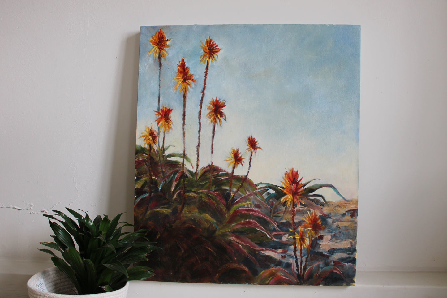 Burning Aloe