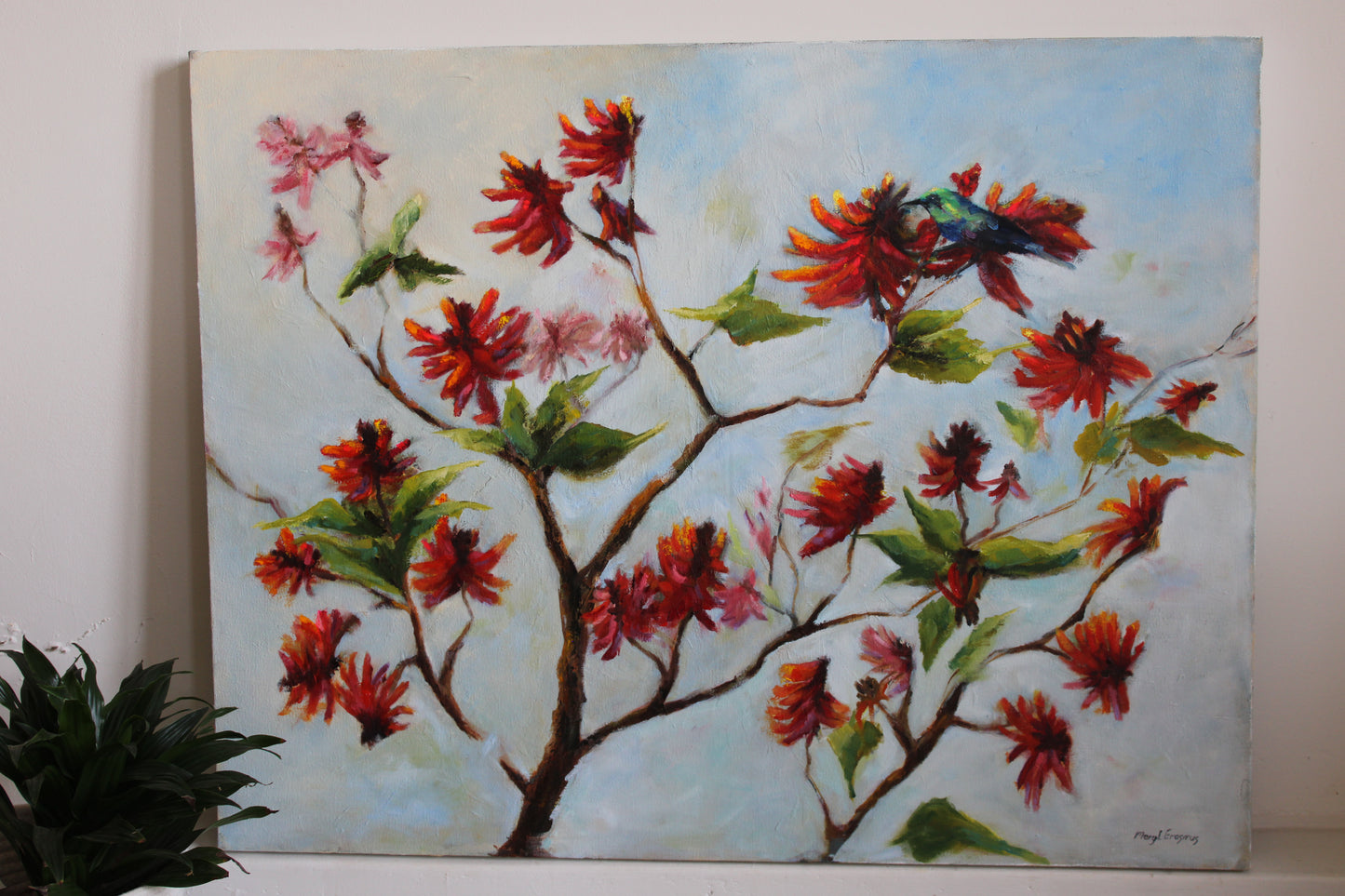 Coral in Bloom