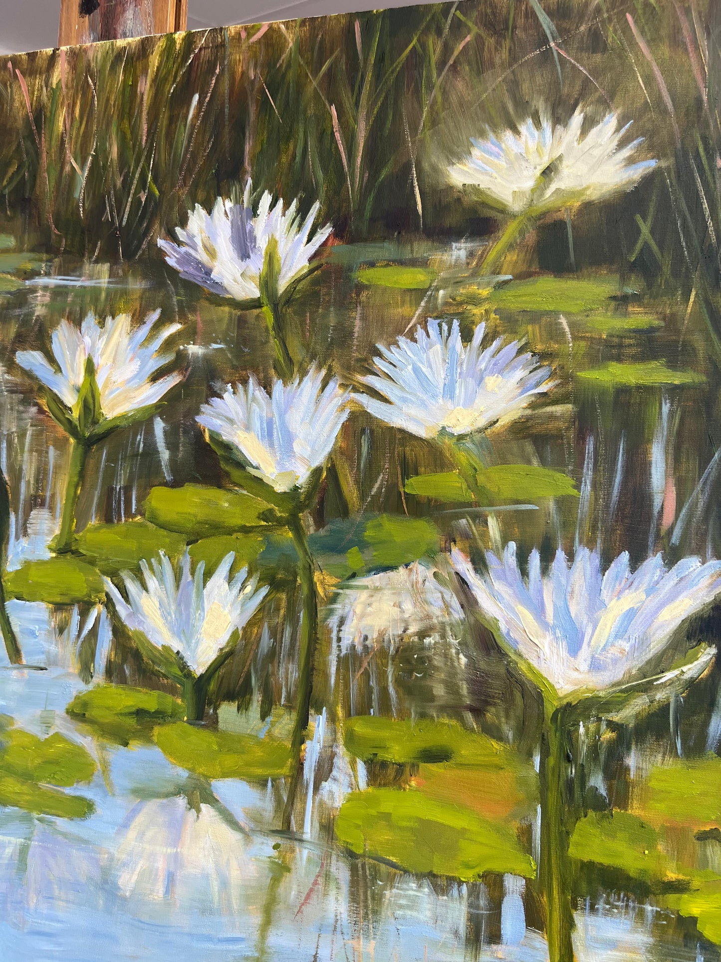 Kruger Lilies