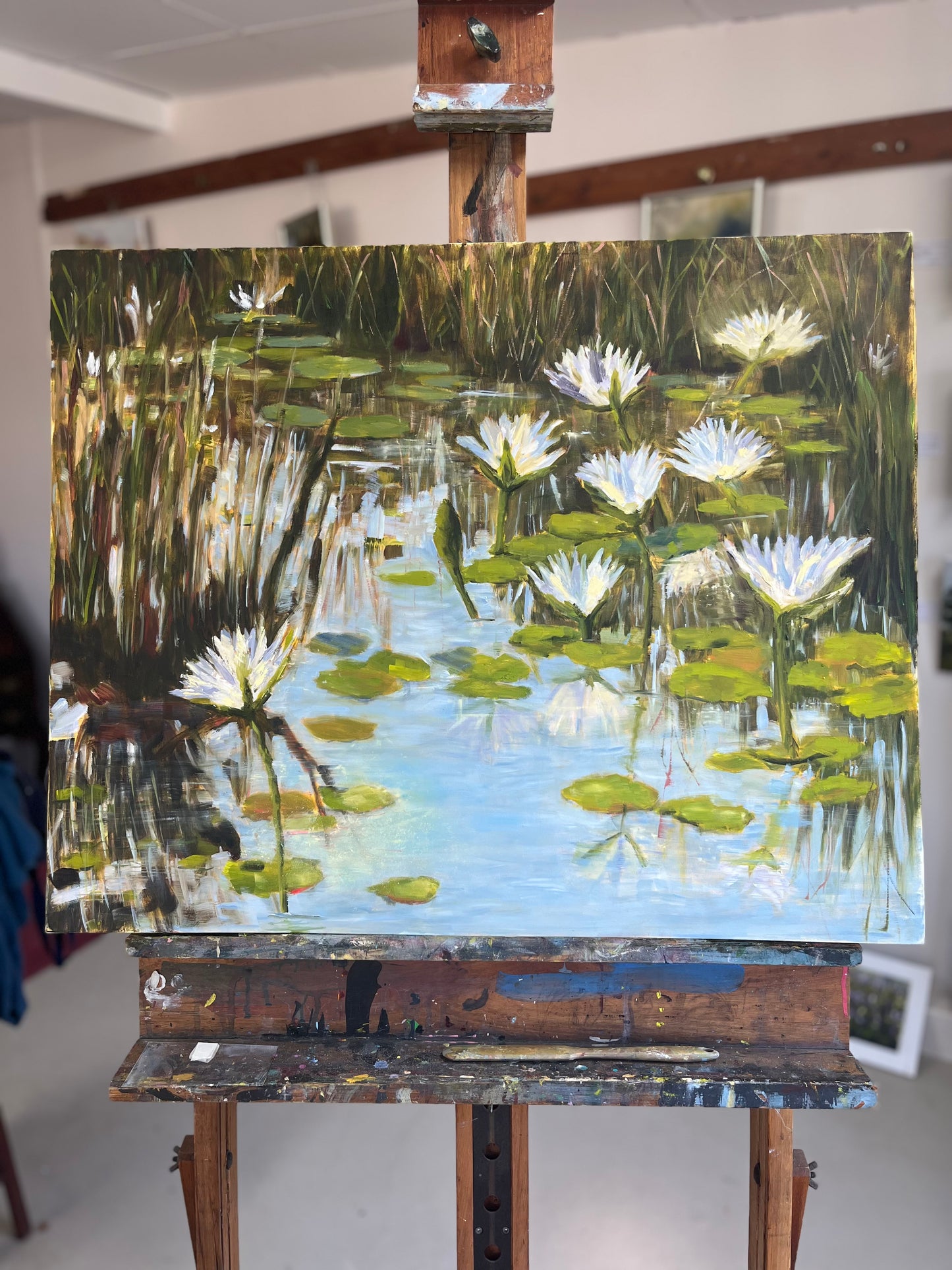 Kruger Lilies