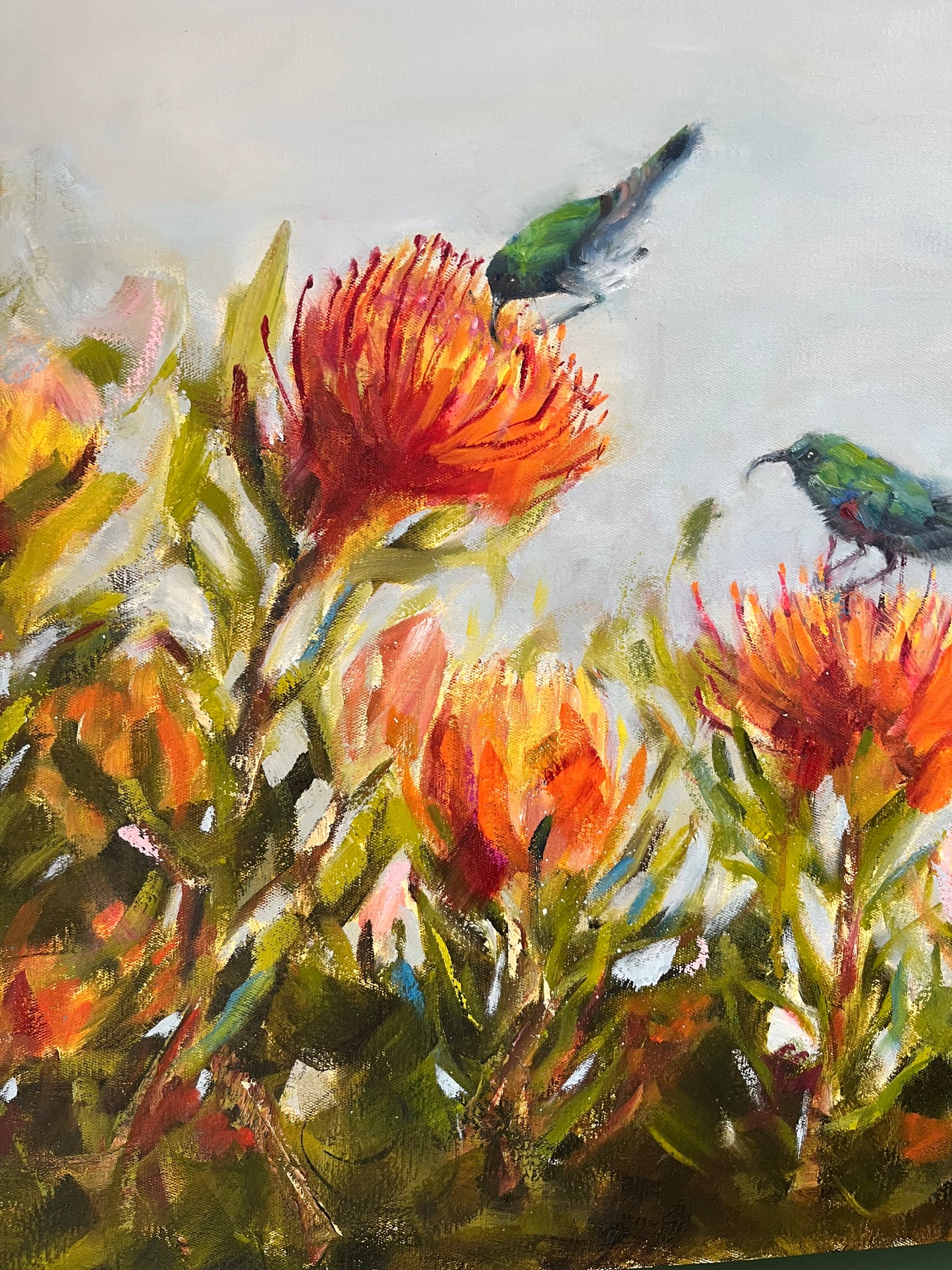 Spring birds