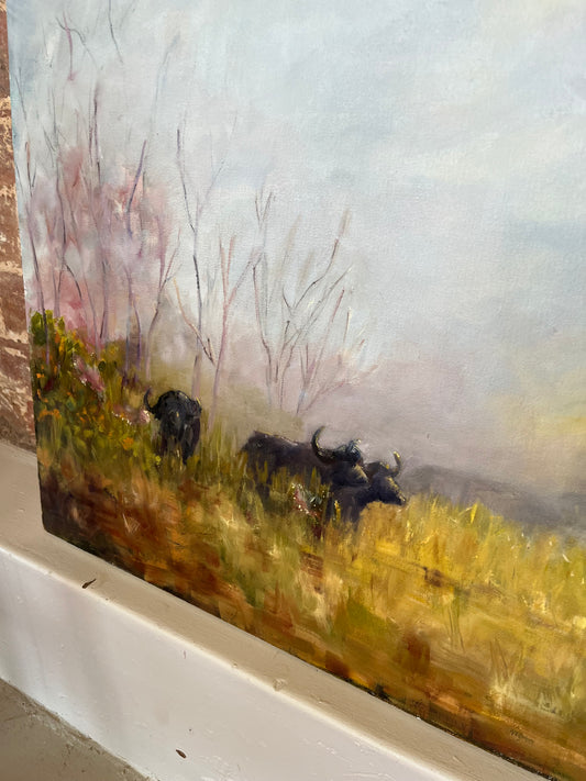 Buffalo landscape