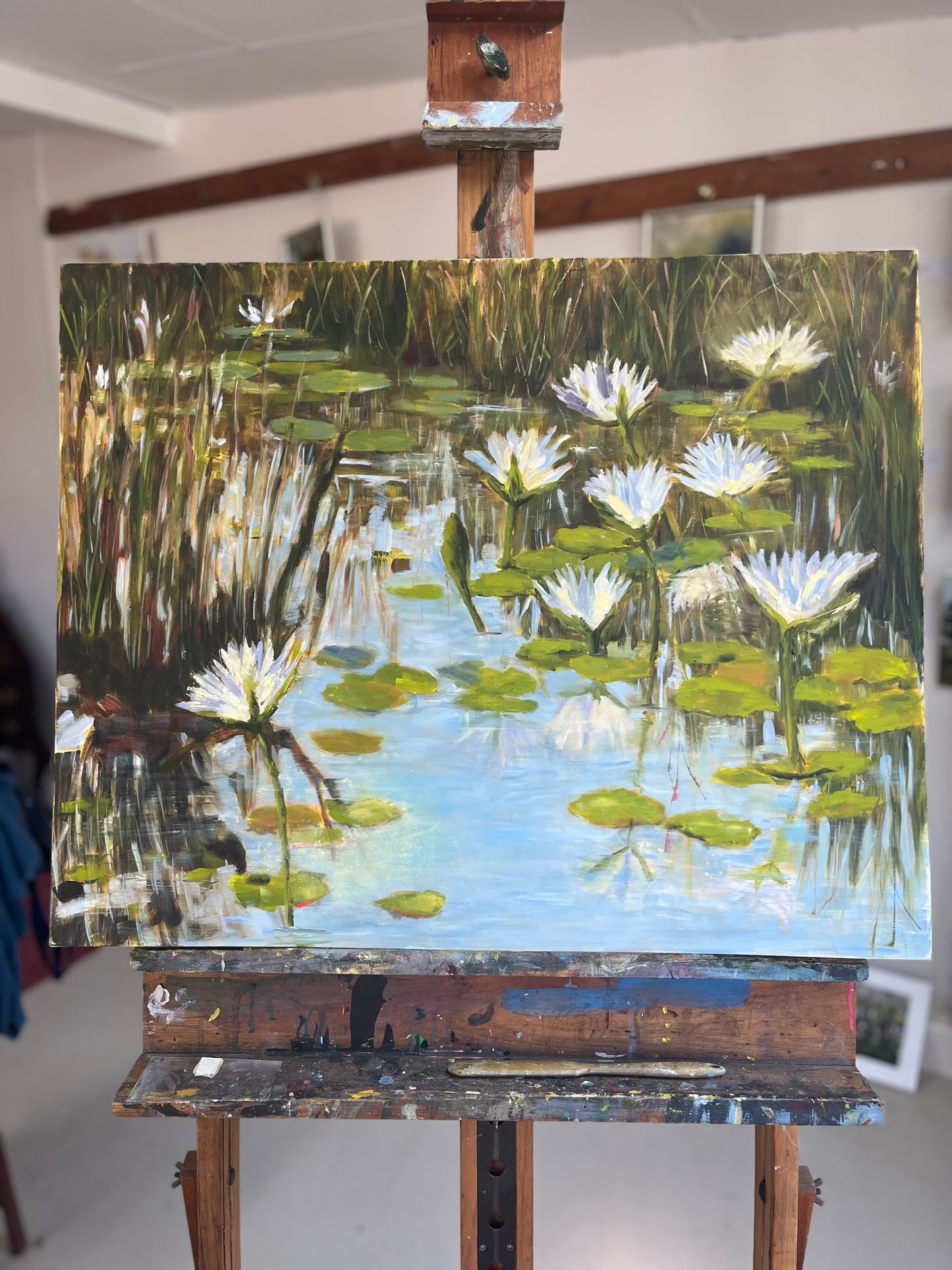 Kruger Lilies