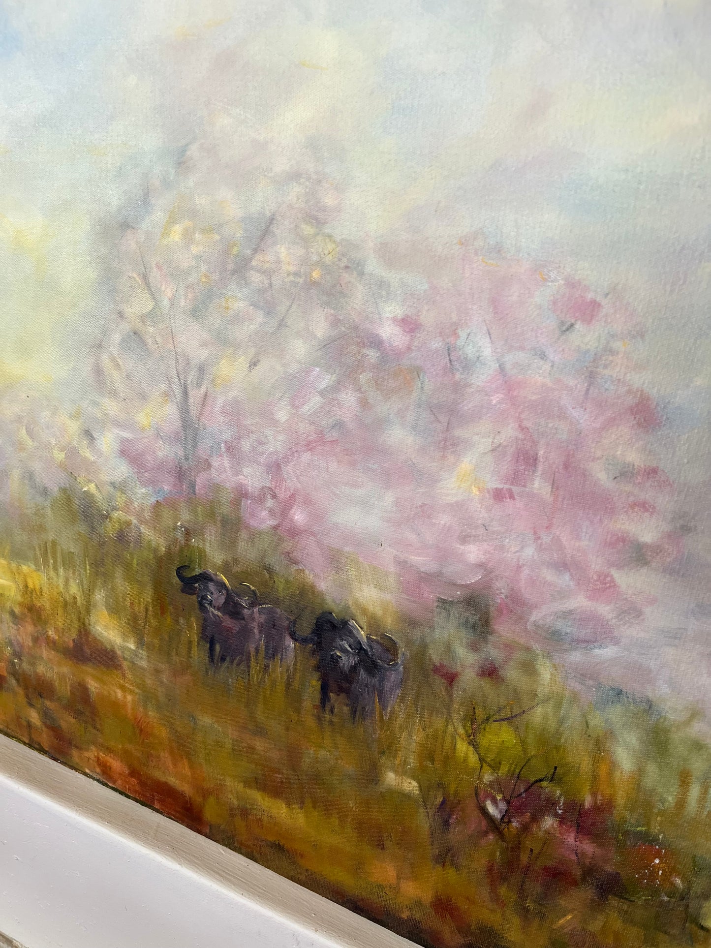 Buffalo landscape