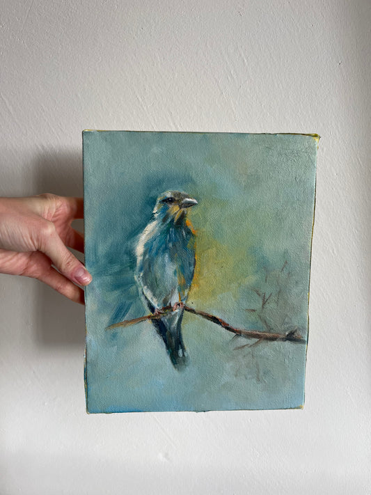 Blue bird