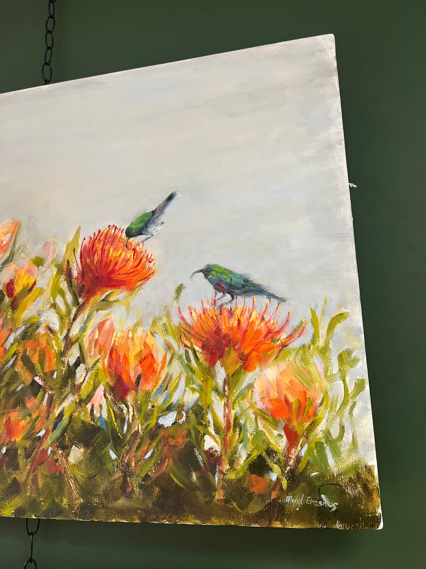 Spring birds