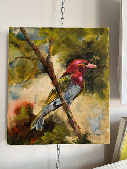 Bird