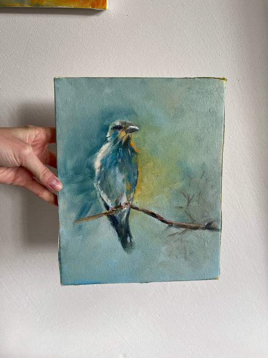 Blue bird