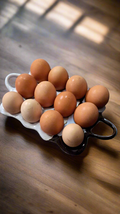 Egg holders