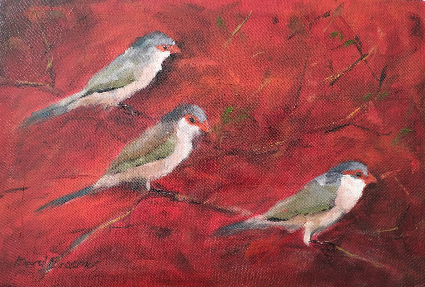 Three waxbills